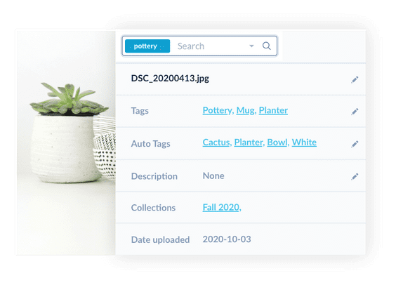 22bce3c1-search-highlight-ecommerce_10fo0ba000000000000028