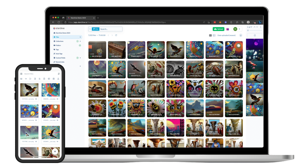 Starchive Media Management for Creative Brains