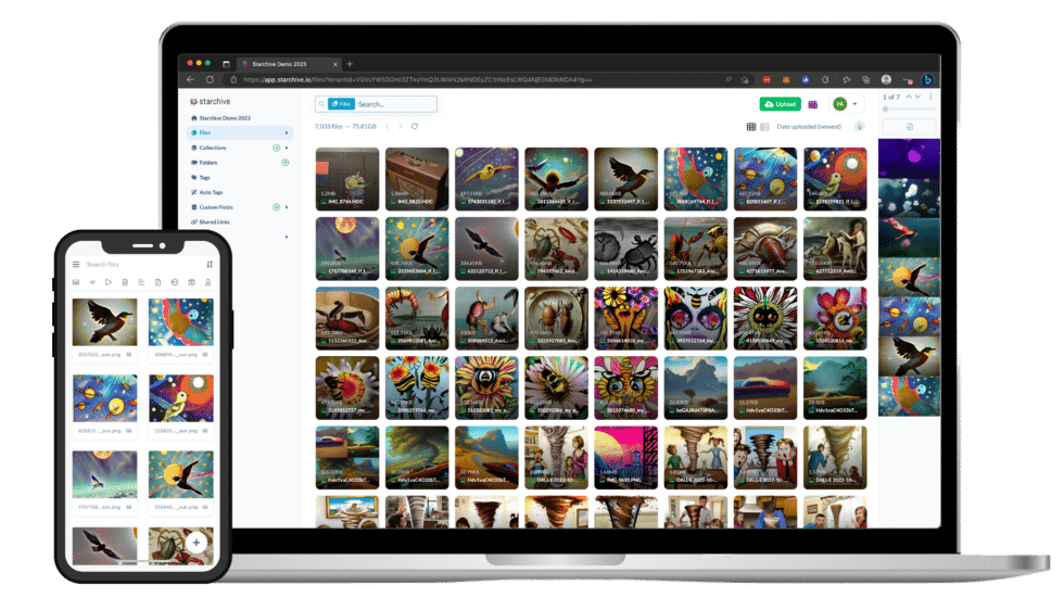 Starchive Digital Asset Control for the Visual Economy